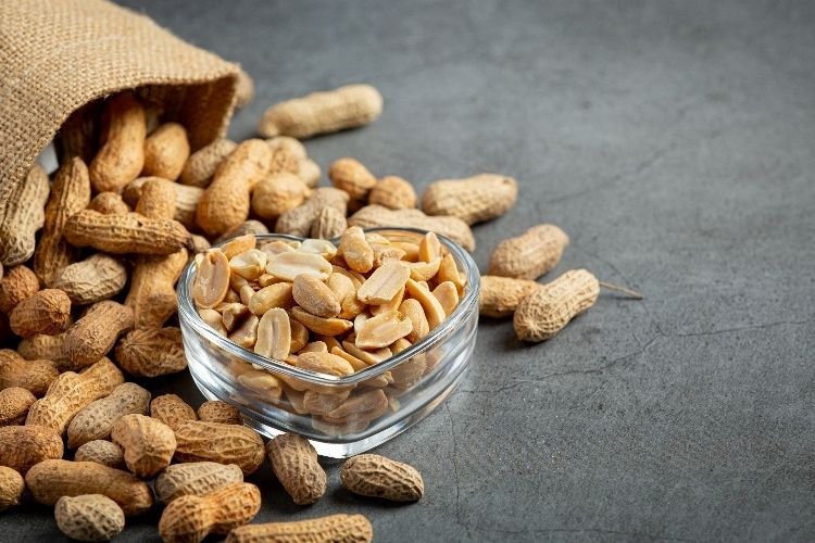 Apakah Makan Kacang Tanah Bisa Bikin Asam Urat? Ternyata Begini Fakta Sebenarnya