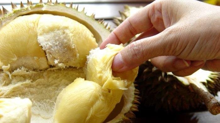 INILAH Orang-orang yang Tak Disarankan Makan Durian,Bisa Berbahaya Jika Nekat Konsumsi