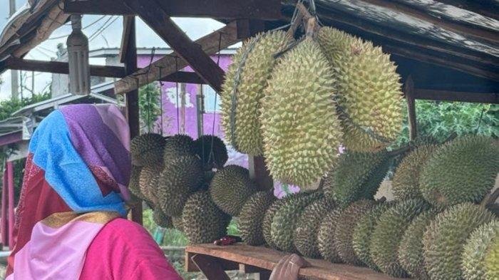 Cara Tepat Memilih Buah Durian yang Berdaging Tebal,Berbiji Kecil dan Dijamin Rasanya Legit Manis