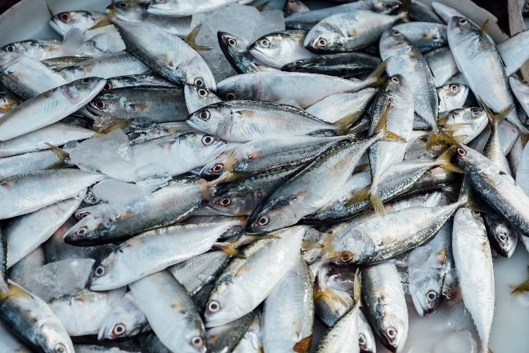 Daftar Ikan yang Mengandung Vitamin D Tinggi, Bermanfaat untuk Tulang dan Gigi