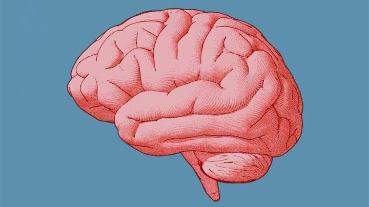 Studi Ungkap Korelasi antara Tulisan Tangan dan Kesehatan Otak
