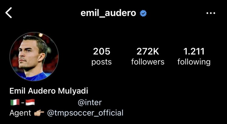 BIODATA Emil Audero Mulyadi,Kiper Inter Milan Disorot karena Bendera Indonesia di Profil IG-nya