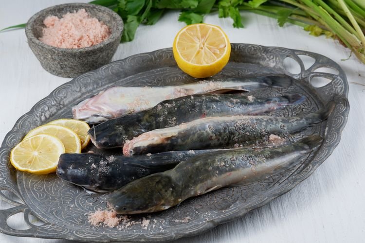 Daftar Ikan yang Boleh Dimakan Penderita Asam Urat dan Kolesterol, Apa Saja?