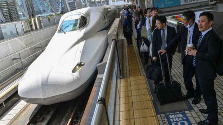 Kejadian Langka Ular Liar Ditemukan di Kereta Cepat Shinkansen Jepang,Bikin Geger Para Penumpang