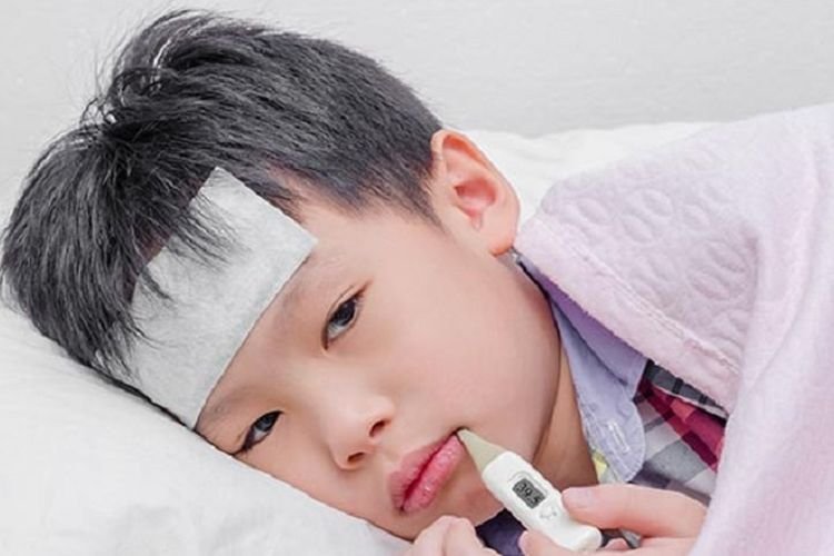 Obat Alami Redakan Demam pada Anak di Tengah Gempuran Flu Singapura, 4 Bahan Ini Wajib Ada Di Rumah