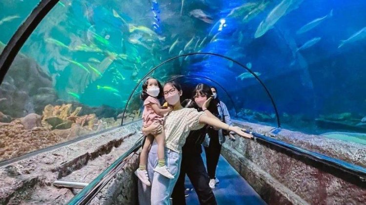 10 Tempat Wisata Instagramable di Kawasan Ancol, Terowongan Antasena Sea Wolrd Jadi Favorit