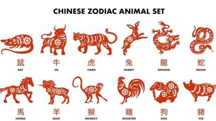 RAMALAN SHIO Kuda,Kambing,Monyet,Ayam,Anjing,dan Shio Babi Hari Ini Kamis 25 April 2024