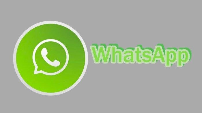 Cara Login tanpa Password di WhatsApp Khusus untuk Pengguna iOS,Akses Masuk Lebih Mudah