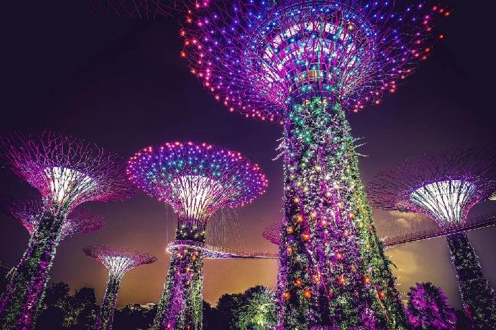 Ada Aurora Borealis di Gardens by the Bay Singapura, Mirip di Kutub Utara